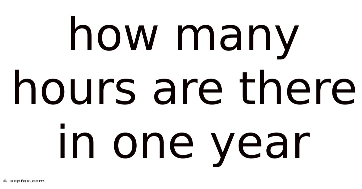 How Many Hours Are There In One Year