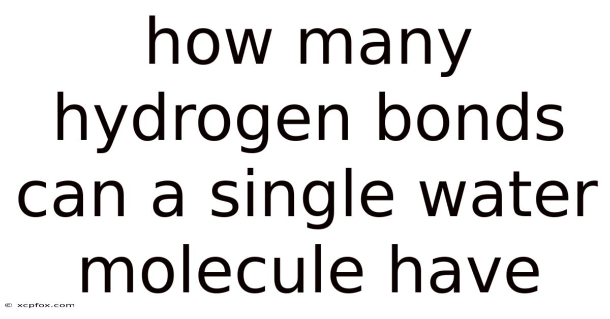How Many Hydrogen Bonds Can A Single Water Molecule Have