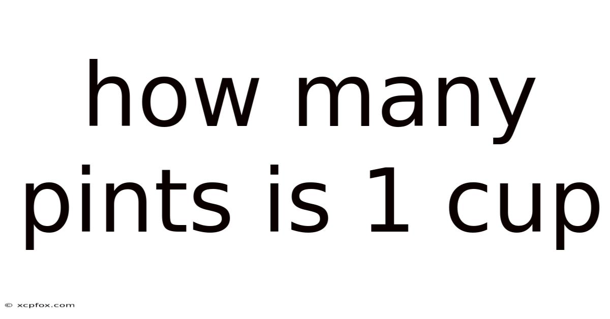 How Many Pints Is 1 Cup