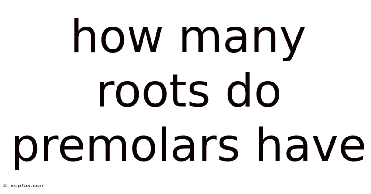 How Many Roots Do Premolars Have