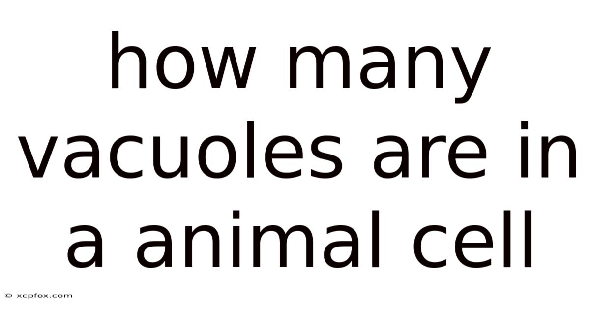 How Many Vacuoles Are In A Animal Cell
