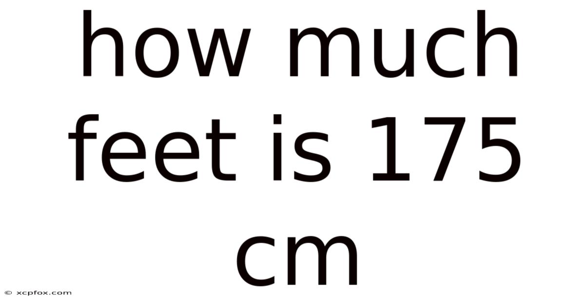 How Much Feet Is 175 Cm