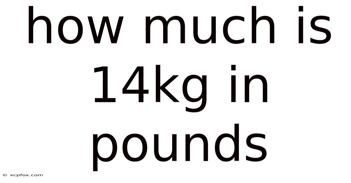 How Much Is 14kg In Pounds