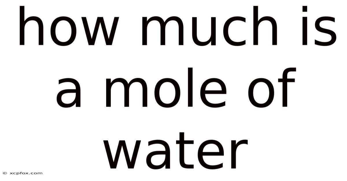 How Much Is A Mole Of Water