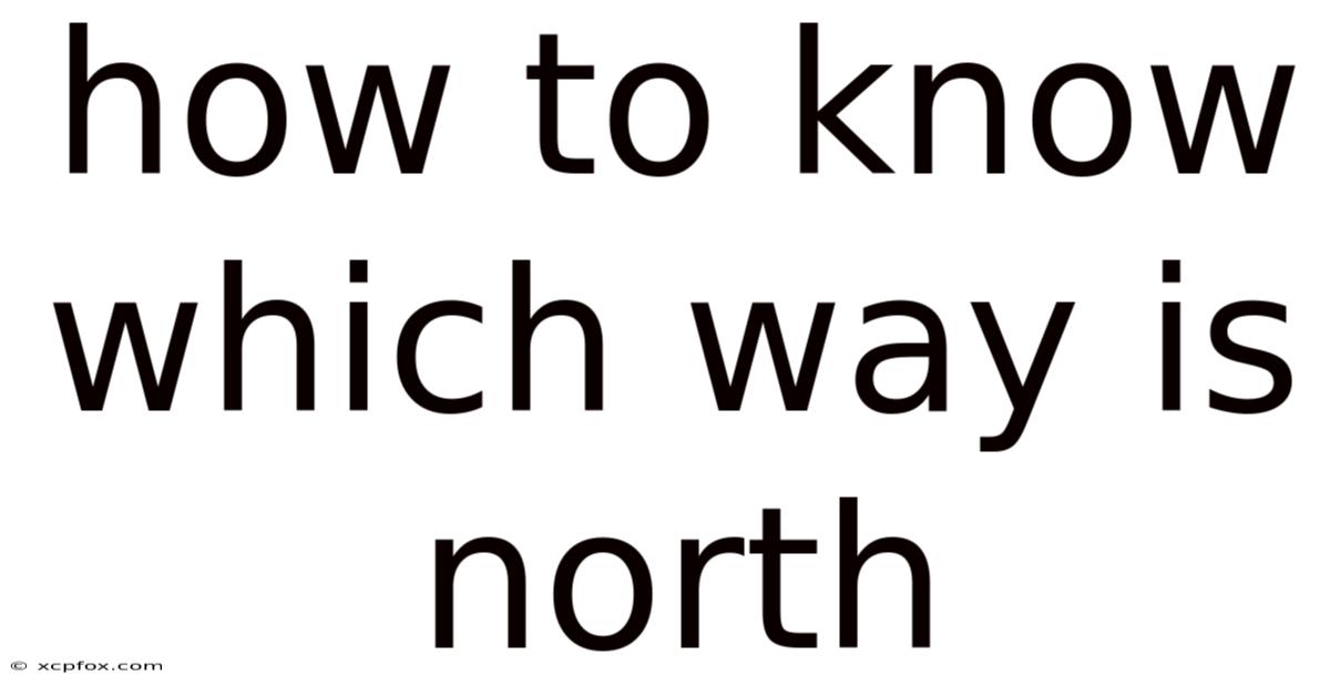 How To Know Which Way Is North