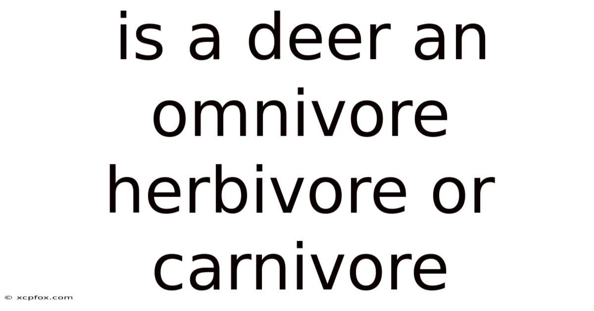 Is A Deer An Omnivore Herbivore Or Carnivore