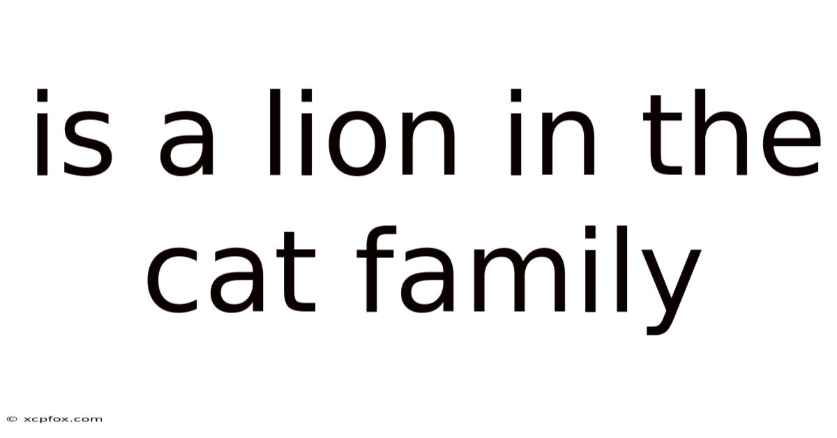 Is A Lion In The Cat Family