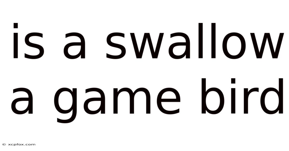 Is A Swallow A Game Bird