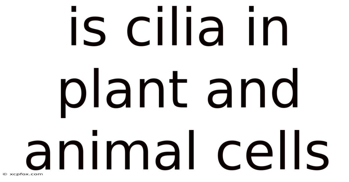 Is Cilia In Plant And Animal Cells