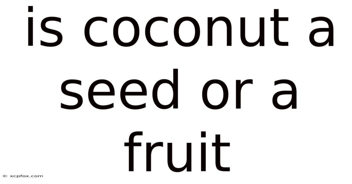 Is Coconut A Seed Or A Fruit