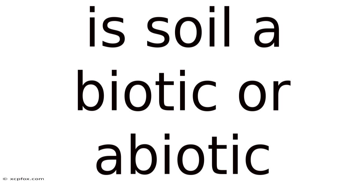 Is Soil A Biotic Or Abiotic