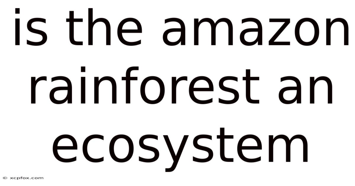 Is The Amazon Rainforest An Ecosystem