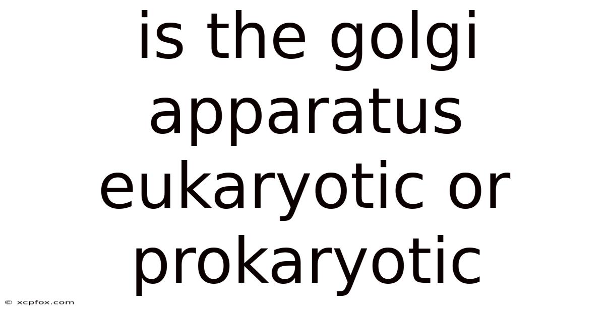 Is The Golgi Apparatus Eukaryotic Or Prokaryotic