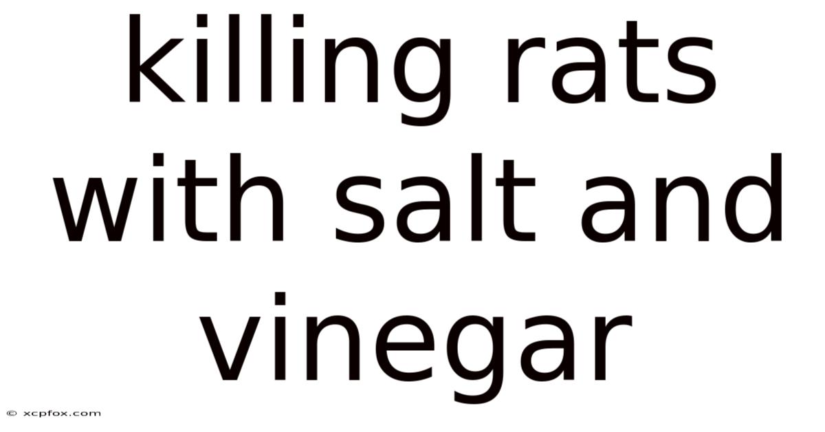 Killing Rats With Salt And Vinegar