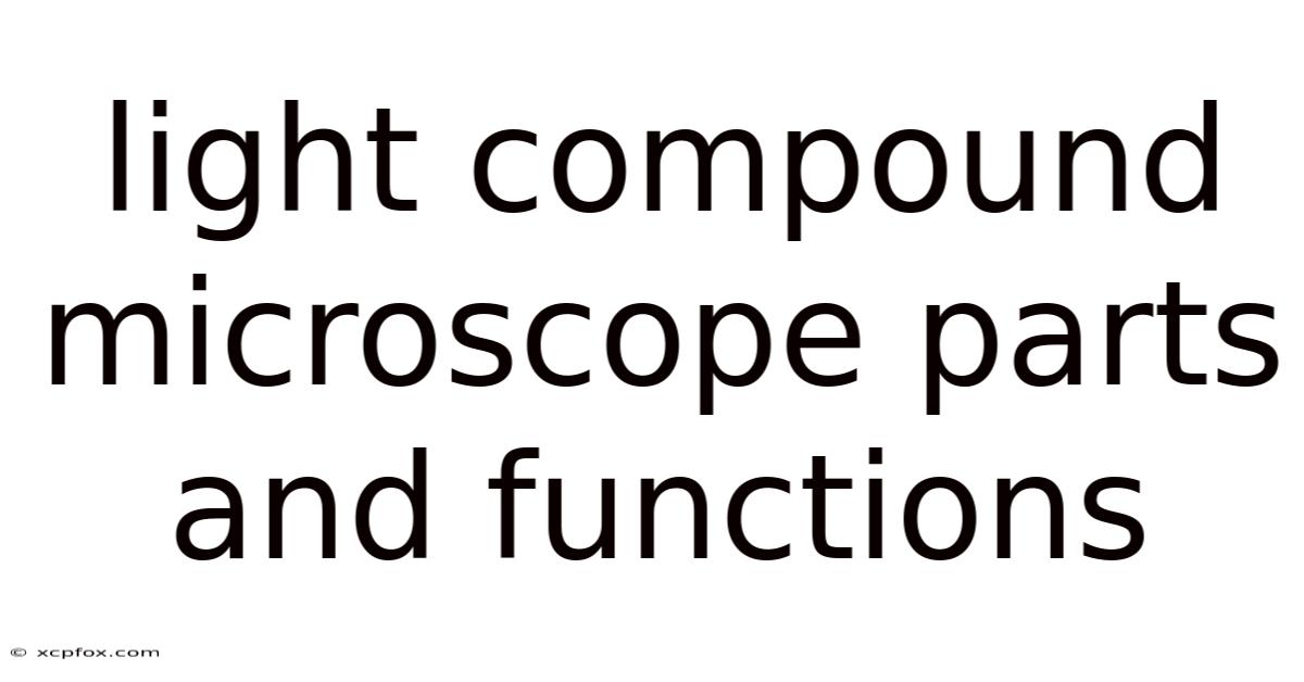Light Compound Microscope Parts And Functions