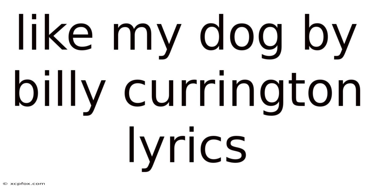 Like My Dog By Billy Currington Lyrics