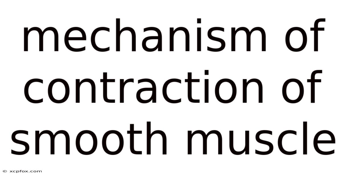 Mechanism Of Contraction Of Smooth Muscle