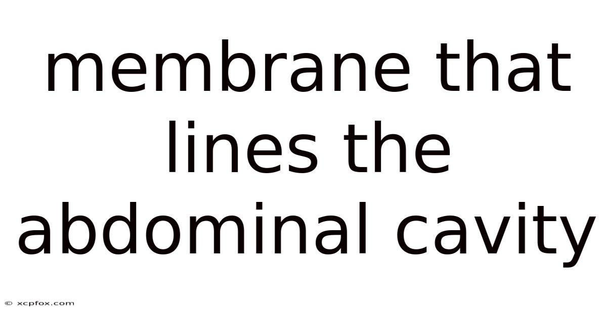 Membrane That Lines The Abdominal Cavity