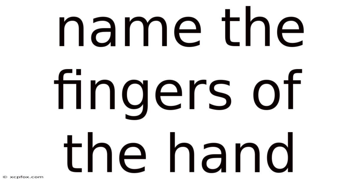 Name The Fingers Of The Hand