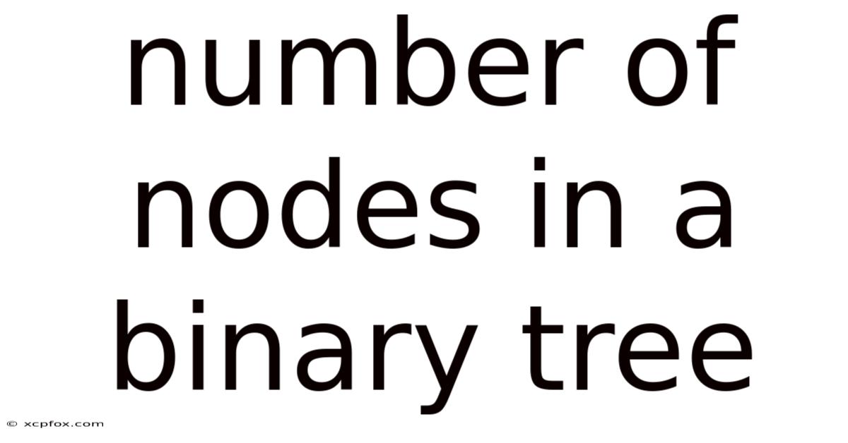Number Of Nodes In A Binary Tree