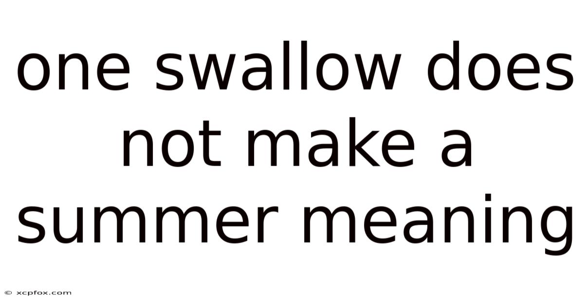 One Swallow Does Not Make A Summer Meaning
