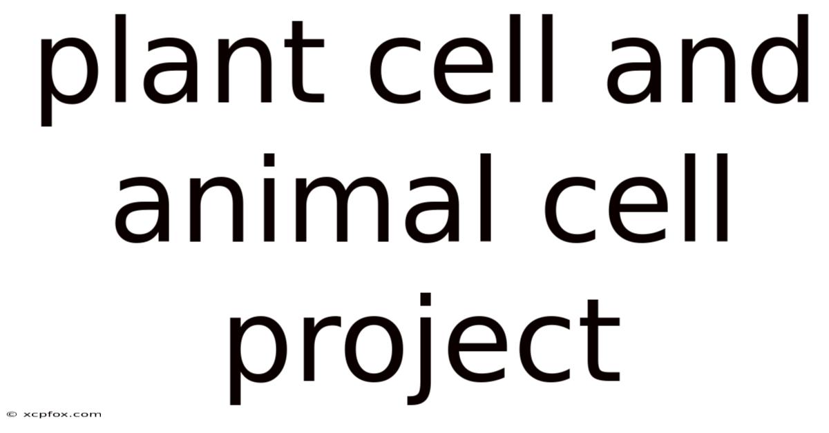 Plant Cell And Animal Cell Project