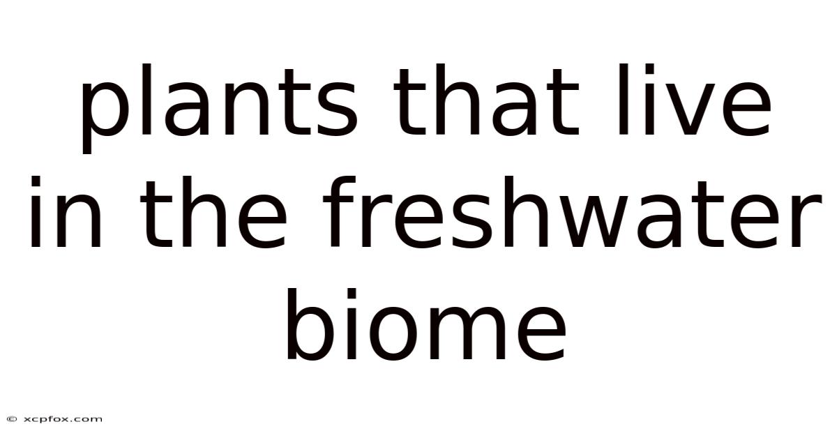 Plants That Live In The Freshwater Biome