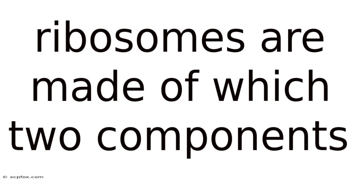 Ribosomes Are Made Of Which Two Components