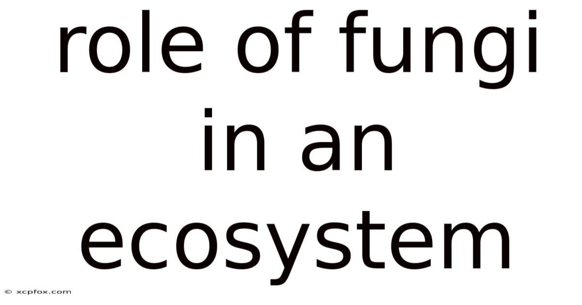 Role Of Fungi In An Ecosystem