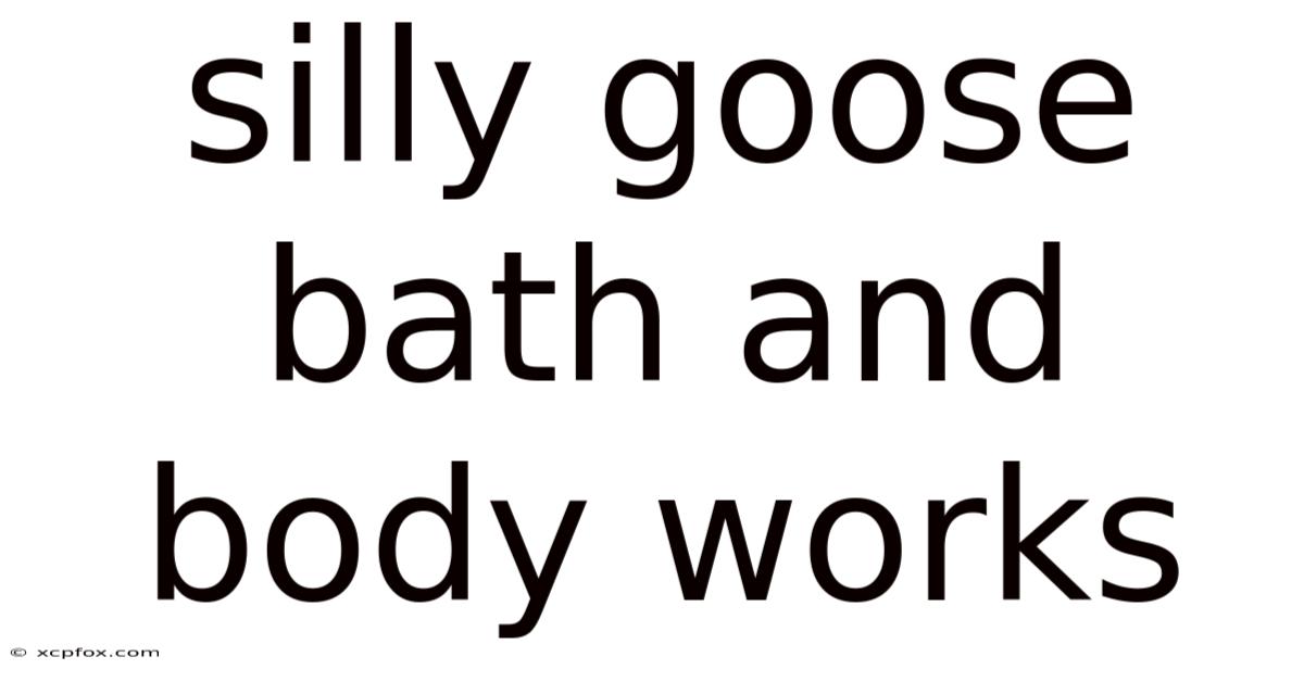 Silly Goose Bath And Body Works