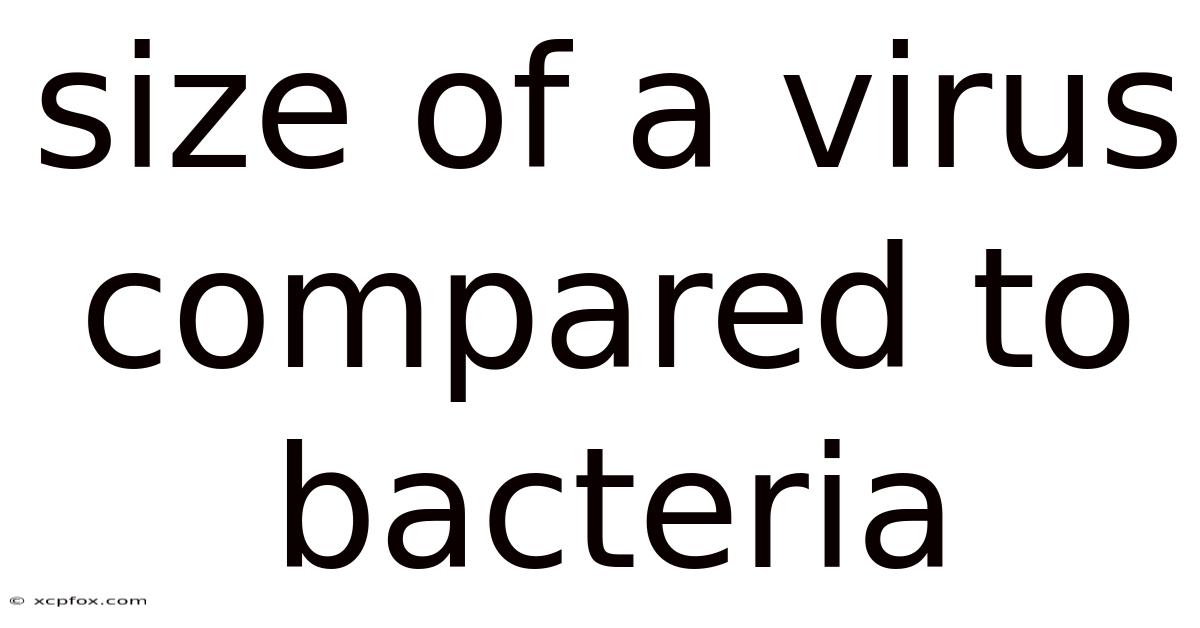 Size Of A Virus Compared To Bacteria