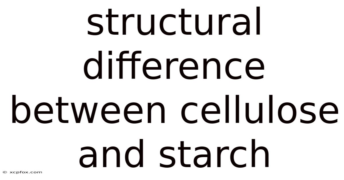 Structural Difference Between Cellulose And Starch