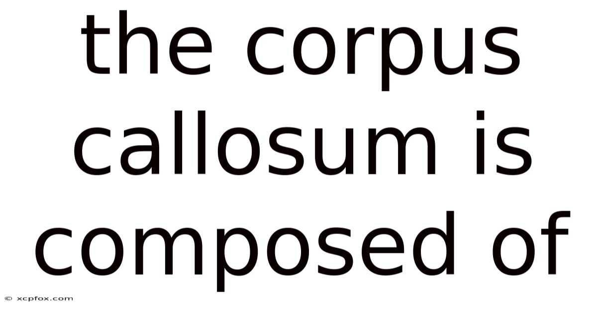 The Corpus Callosum Is Composed Of
