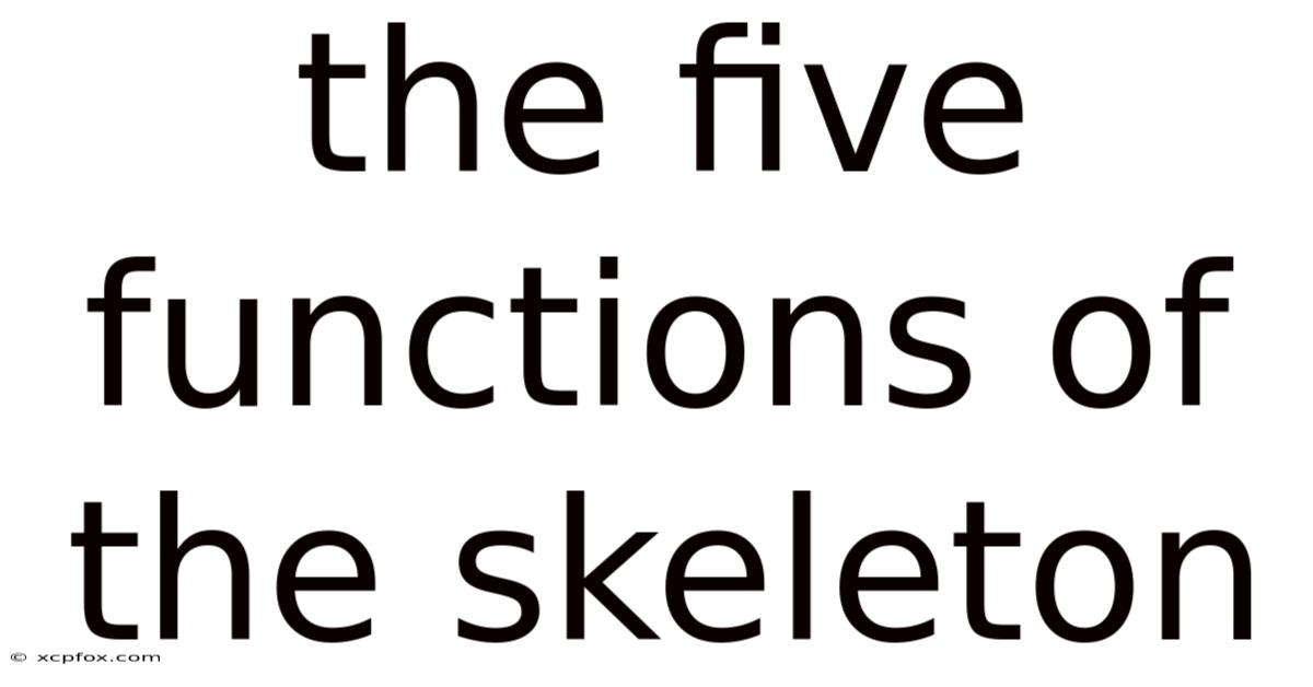 The Five Functions Of The Skeleton
