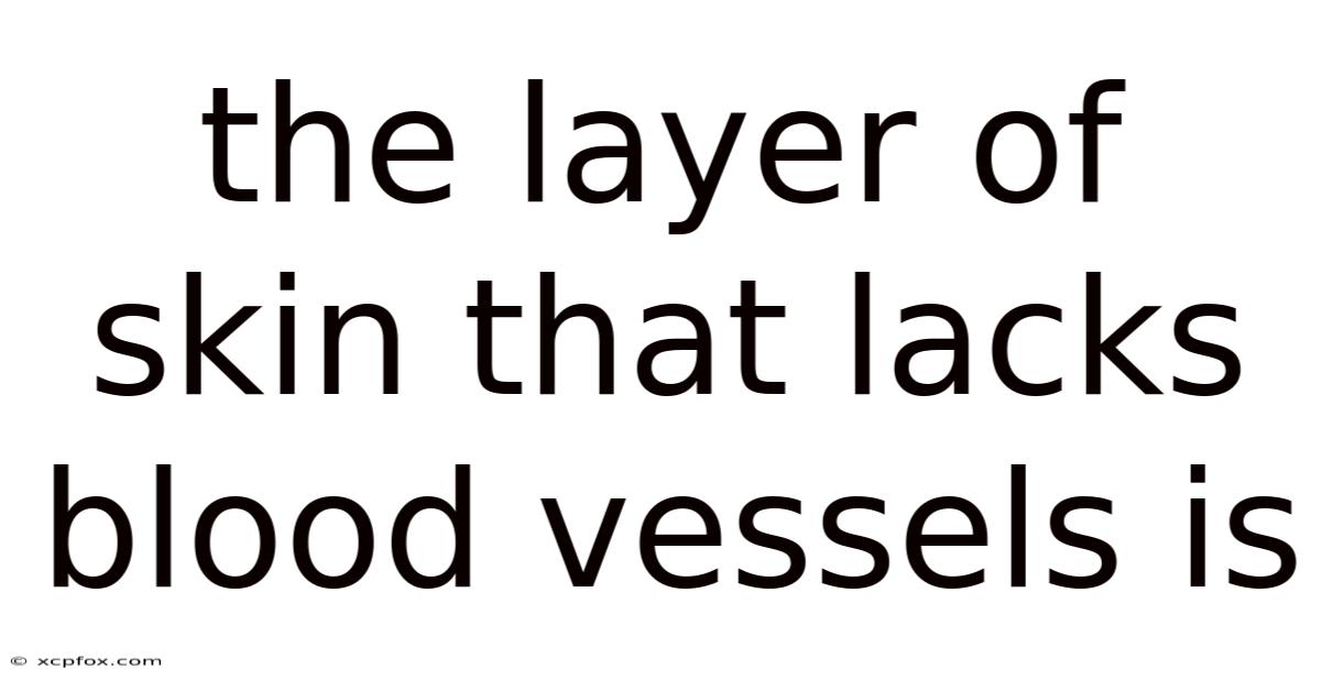 The Layer Of Skin That Lacks Blood Vessels Is