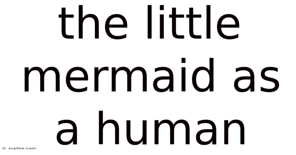 The Little Mermaid As A Human