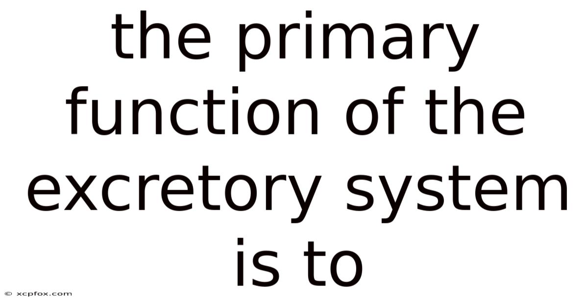 The Primary Function Of The Excretory System Is To