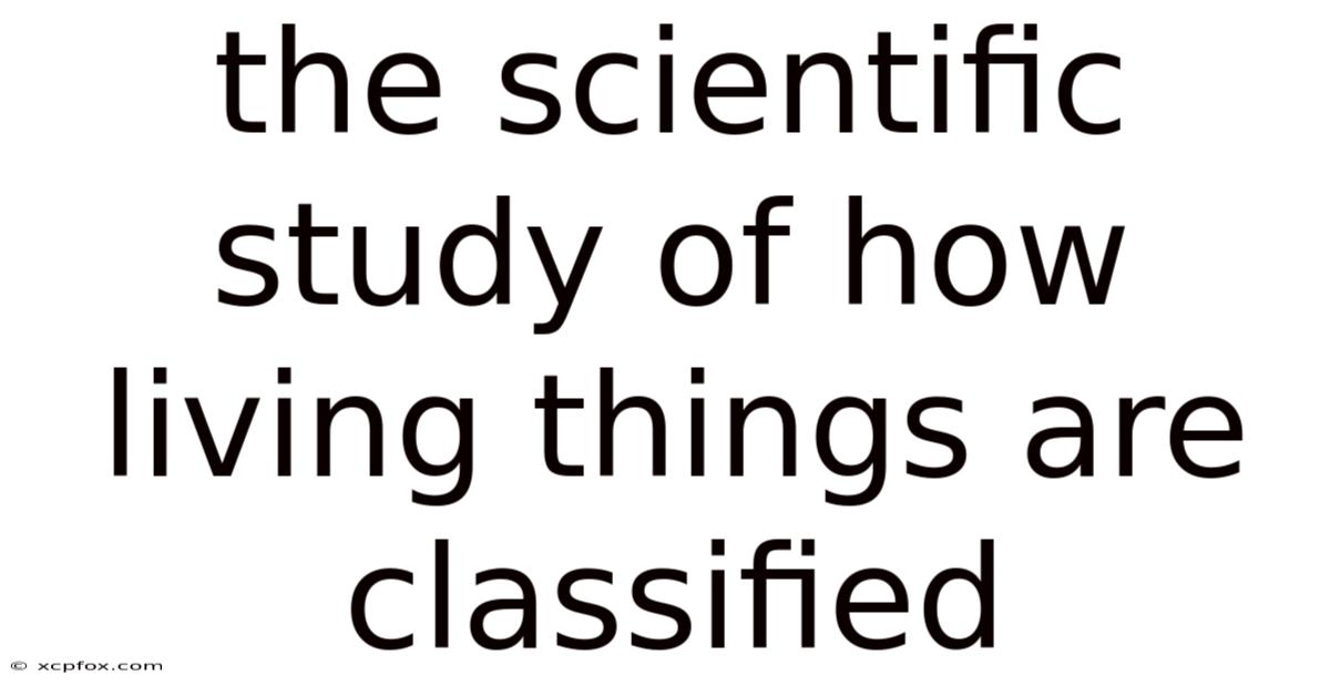 The Scientific Study Of How Living Things Are Classified