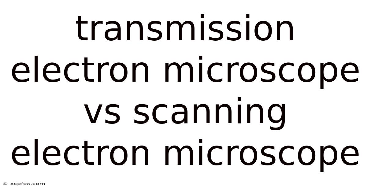Transmission Electron Microscope Vs Scanning Electron Microscope