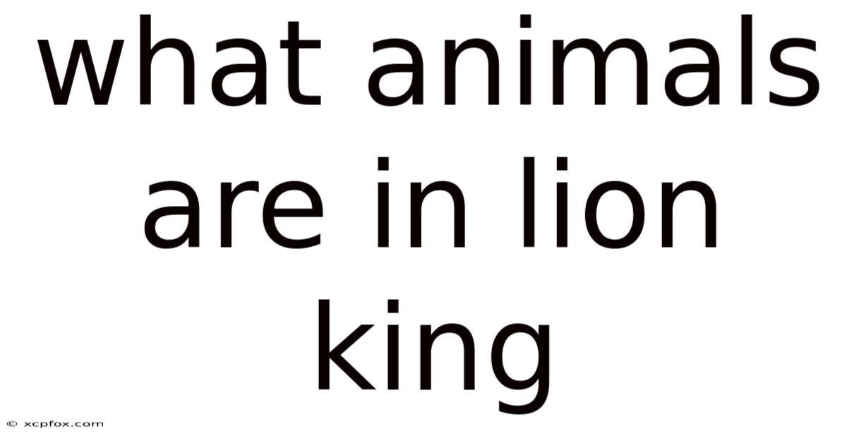 What Animals Are In Lion King