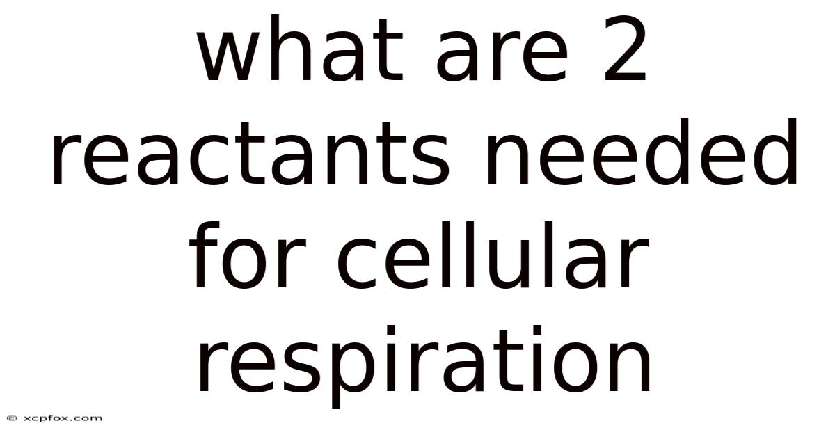 What Are 2 Reactants Needed For Cellular Respiration