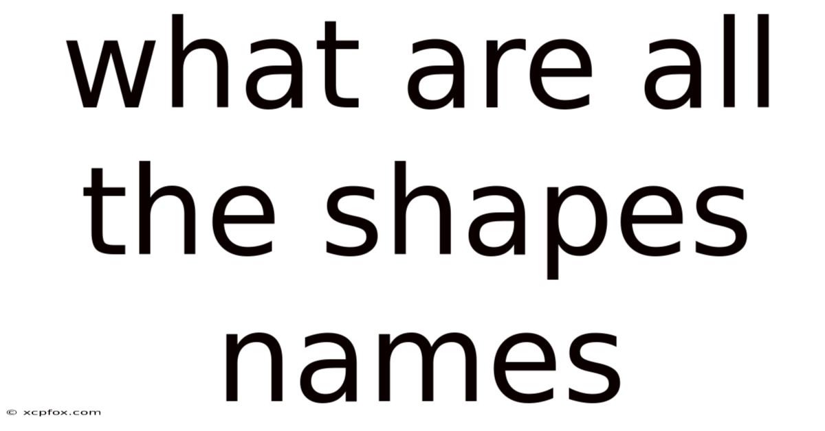 What Are All The Shapes Names