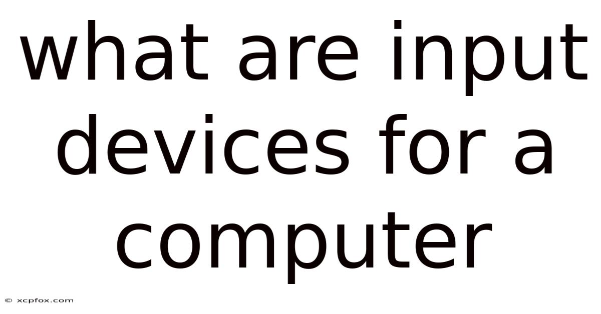 What Are Input Devices For A Computer