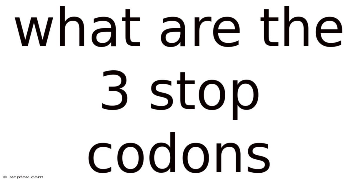What Are The 3 Stop Codons