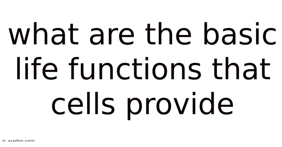 What Are The Basic Life Functions That Cells Provide