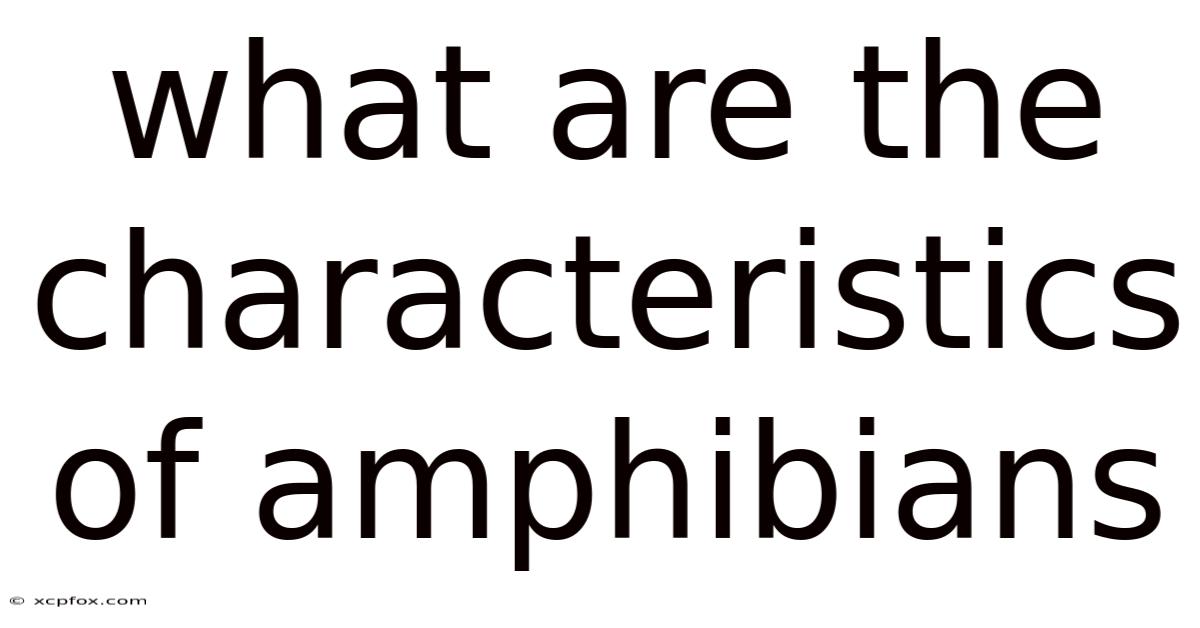 What Are The Characteristics Of Amphibians