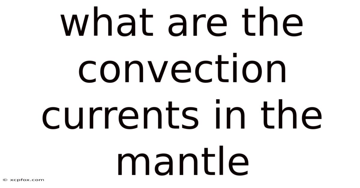What Are The Convection Currents In The Mantle