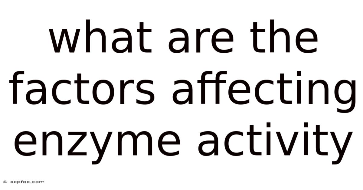 What Are The Factors Affecting Enzyme Activity