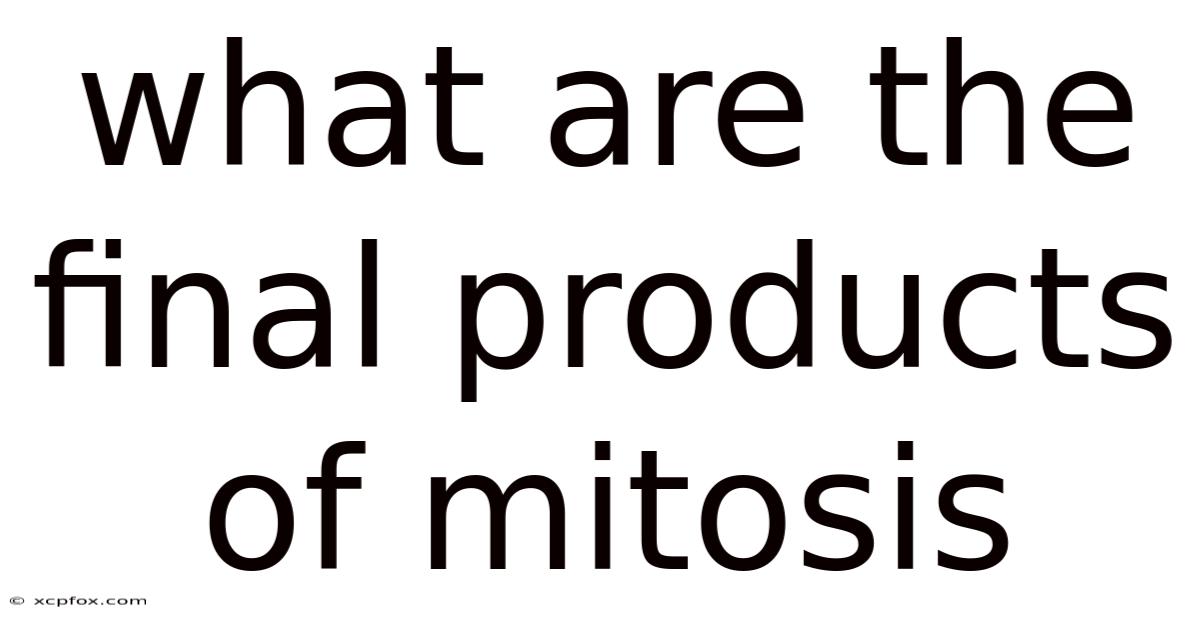 What Are The Final Products Of Mitosis