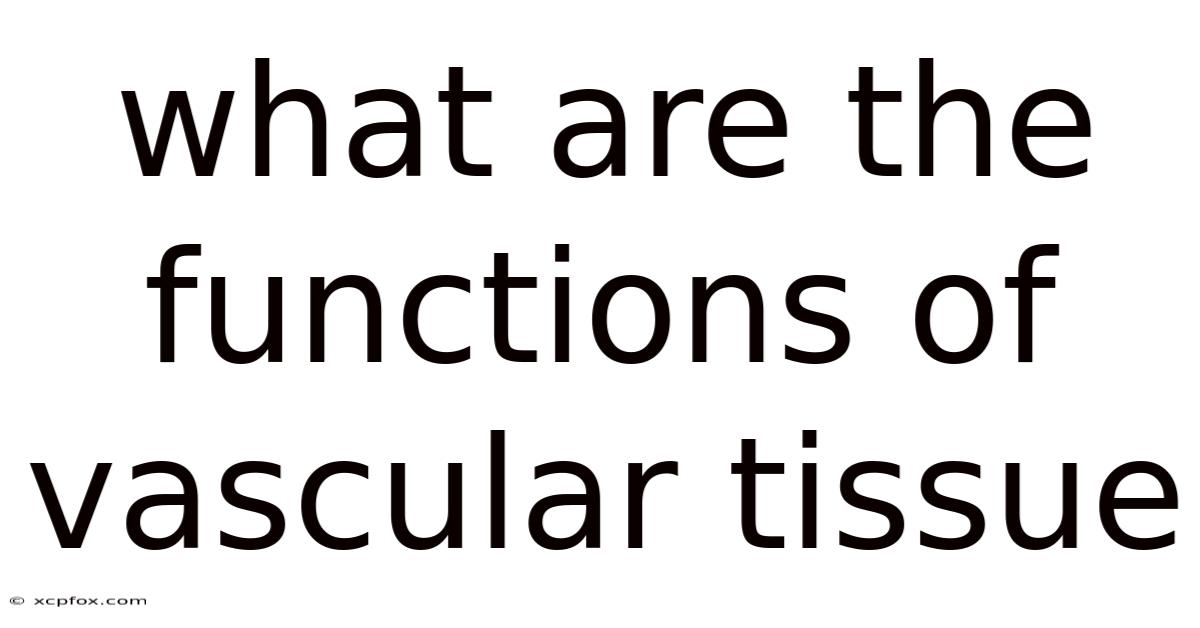 What Are The Functions Of Vascular Tissue
